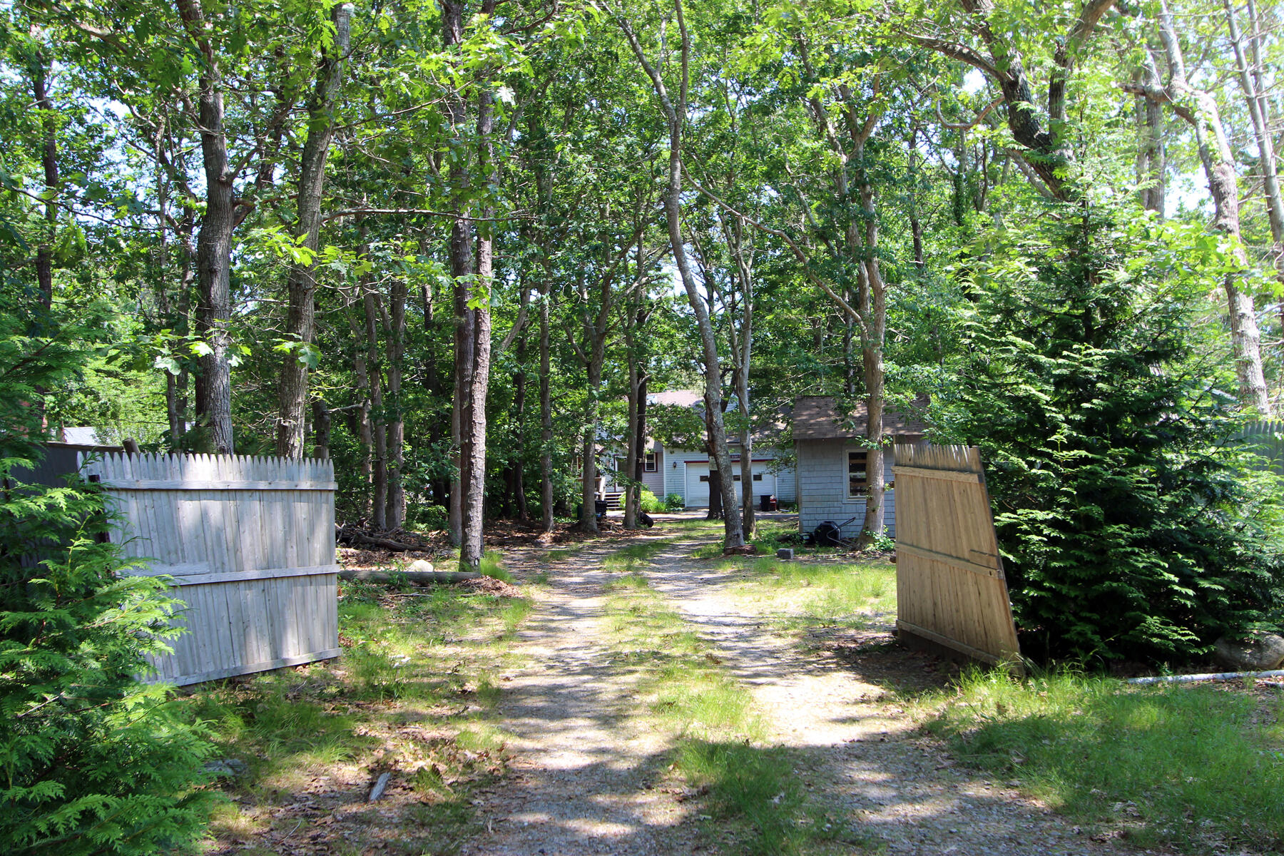 37 Riverside Road Mashpee, MA 02649 - Photo 4 of 19 a view of a backyard with plants and large trees