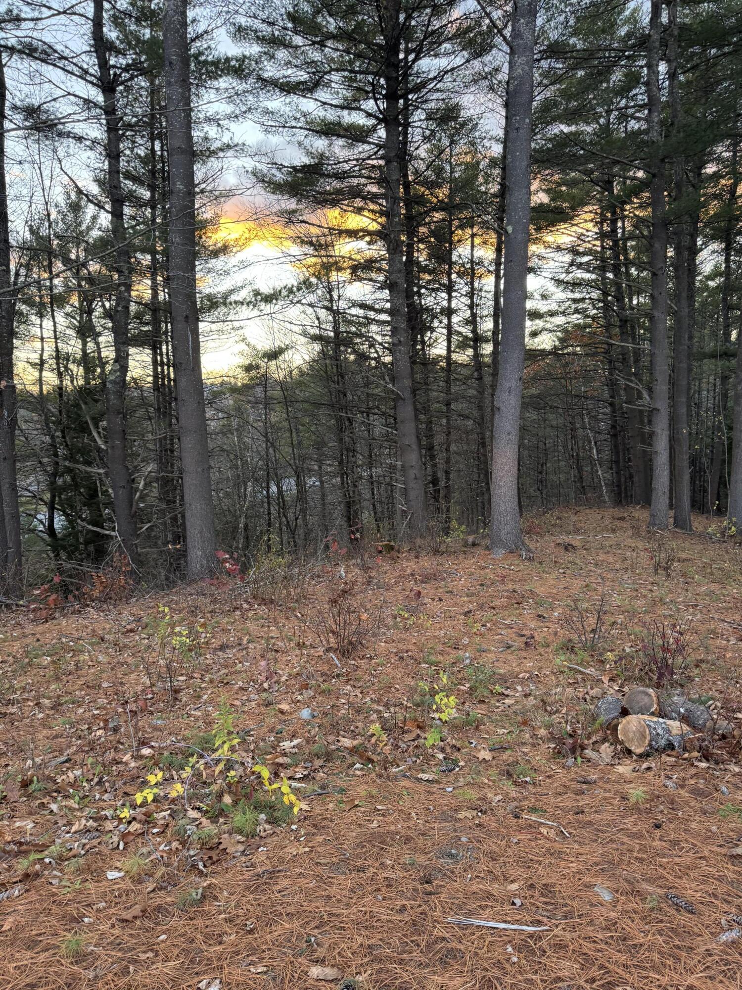 484 China Road Winslow, ME 04901 - Photo 7 of 8 Land