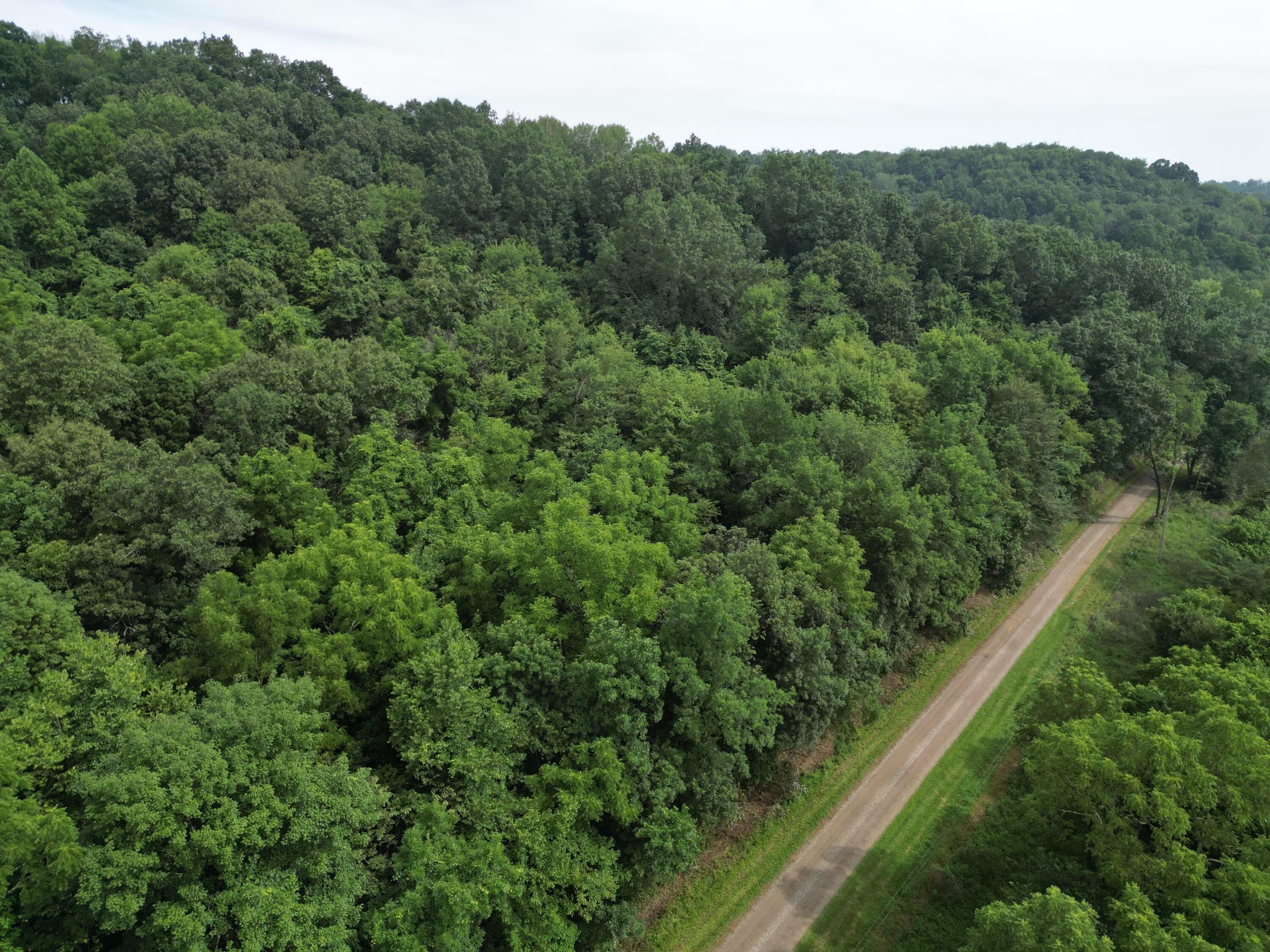 0 Township Road Dresden, OH 43821 - Photo 18 of 36 dji_fly_20250721_111336_429_175311013432