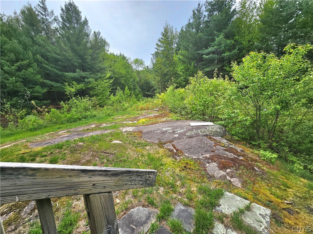 0 Cotton Road Carthage, NY 13619 - Photo 23 of 48