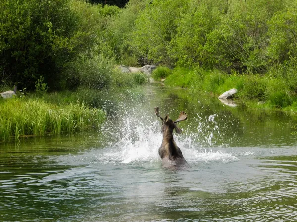 a view of a lake view