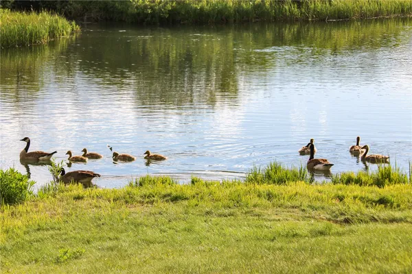 a sign of that is sitting in the grass near a garden