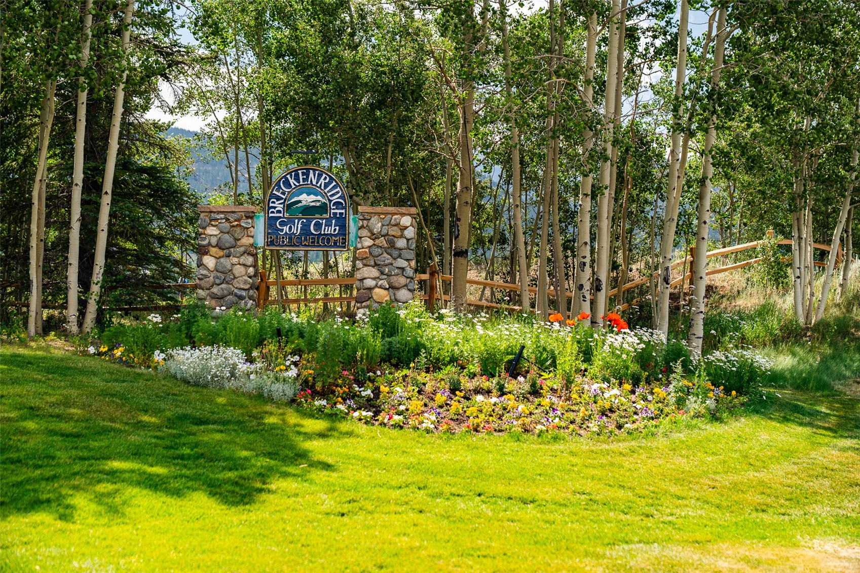 2717 Tiger Road Breckenridge, CO 80424 - Photo 41 of 48