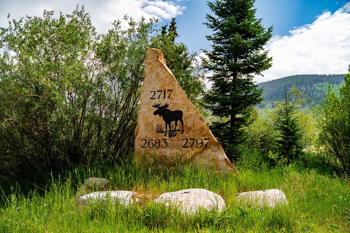 2717 Tiger Road Breckenridge, CO 80424 - Photo 45 of 48