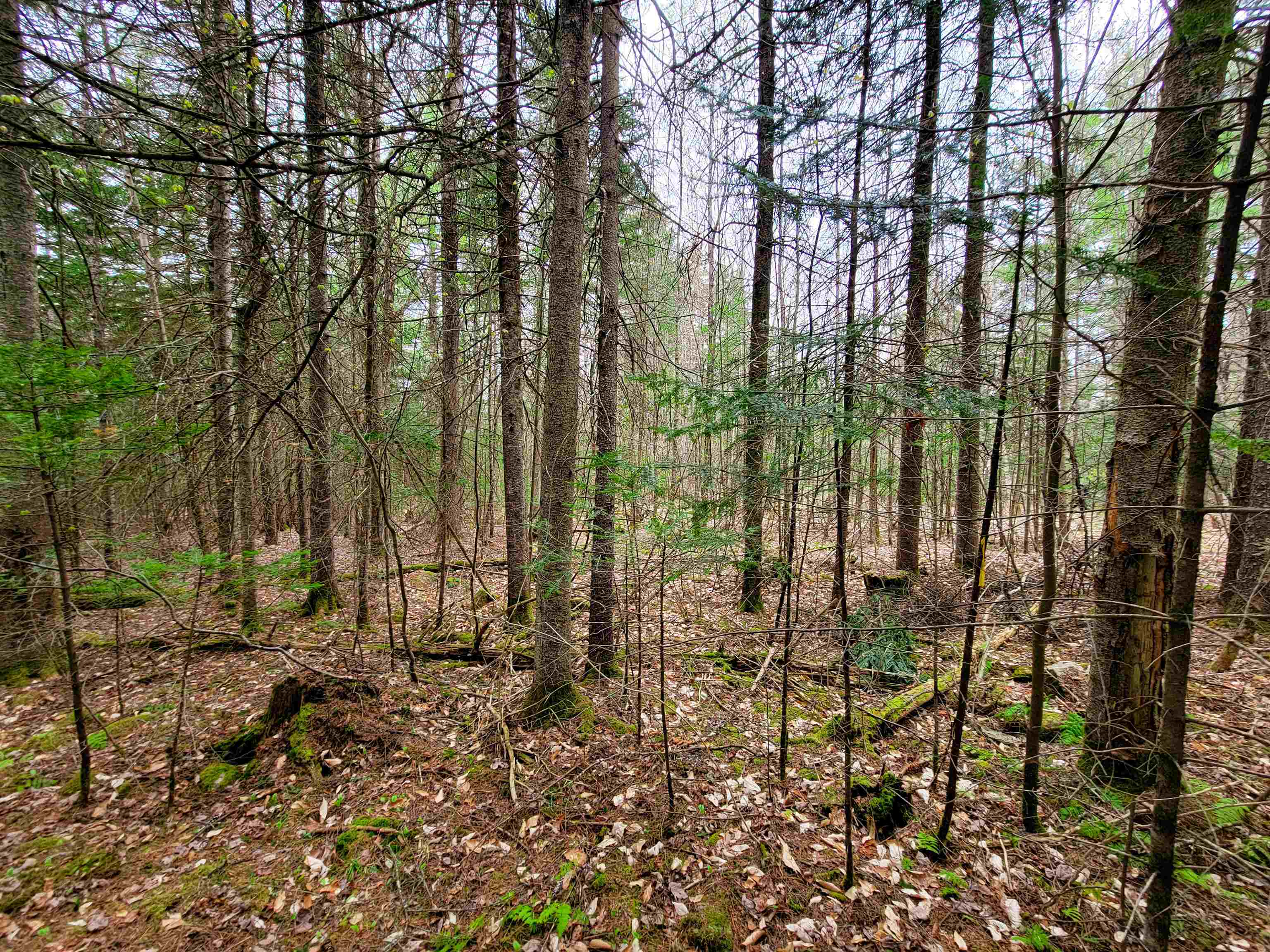 280 Guyette Road Plainfield, VT 05667 - Photo 23 of 38 Gallery Image 23