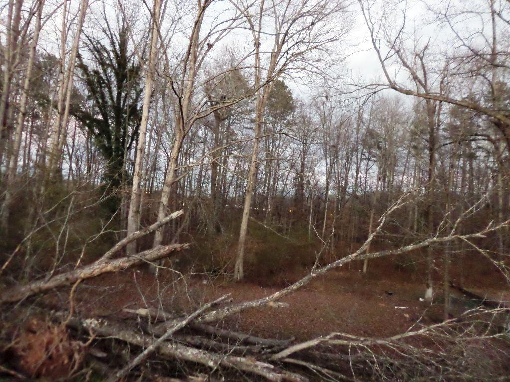 103 Bennett Lane Oak Ridge, TN 37830 - Photo 6 of 6 SAM_0062