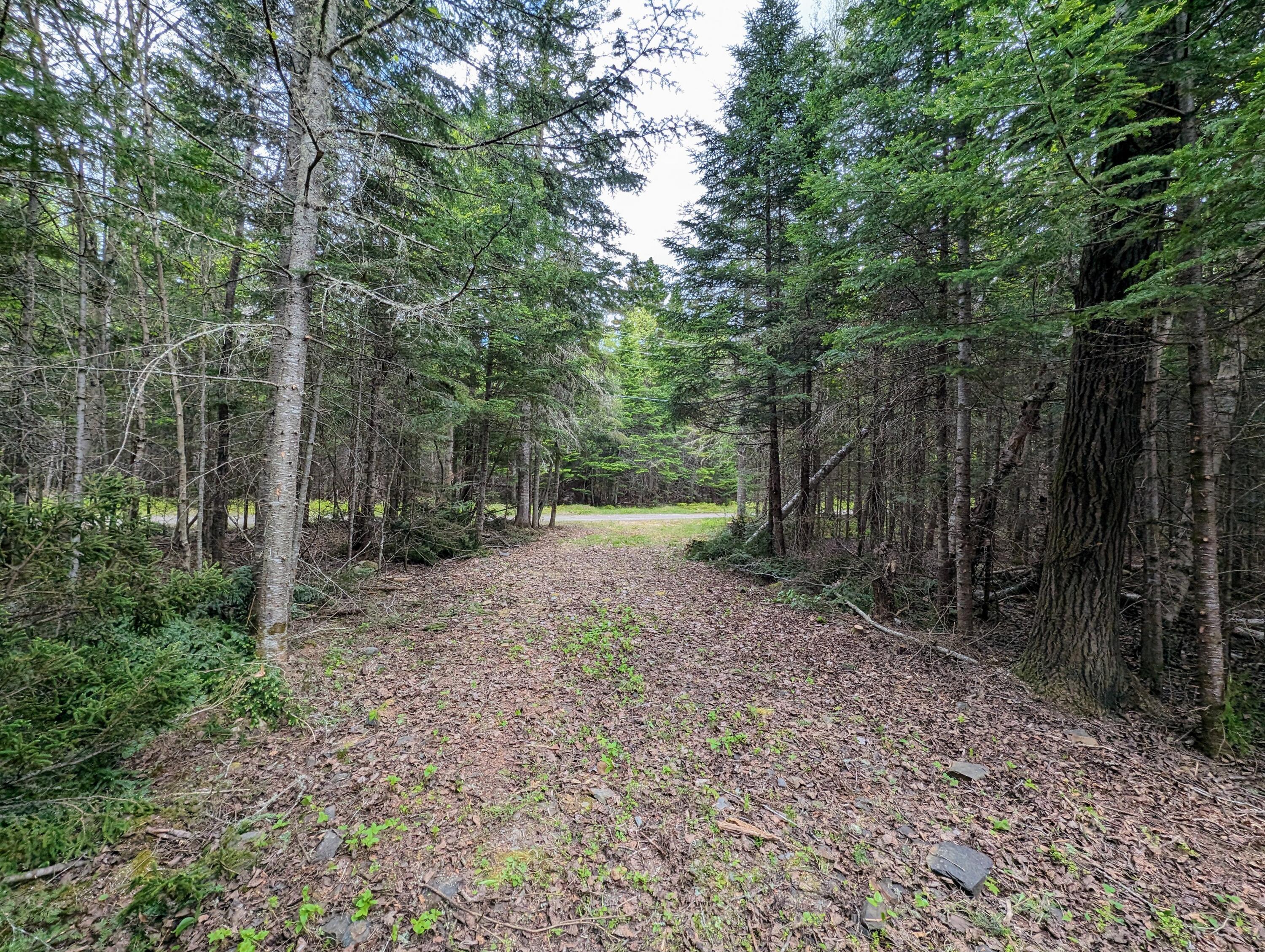 Lot 27-12 Winter Road Rangeley, ME 04970 - Photo 30 of 33 2.6 Acres on Winter Road in Rangeley!