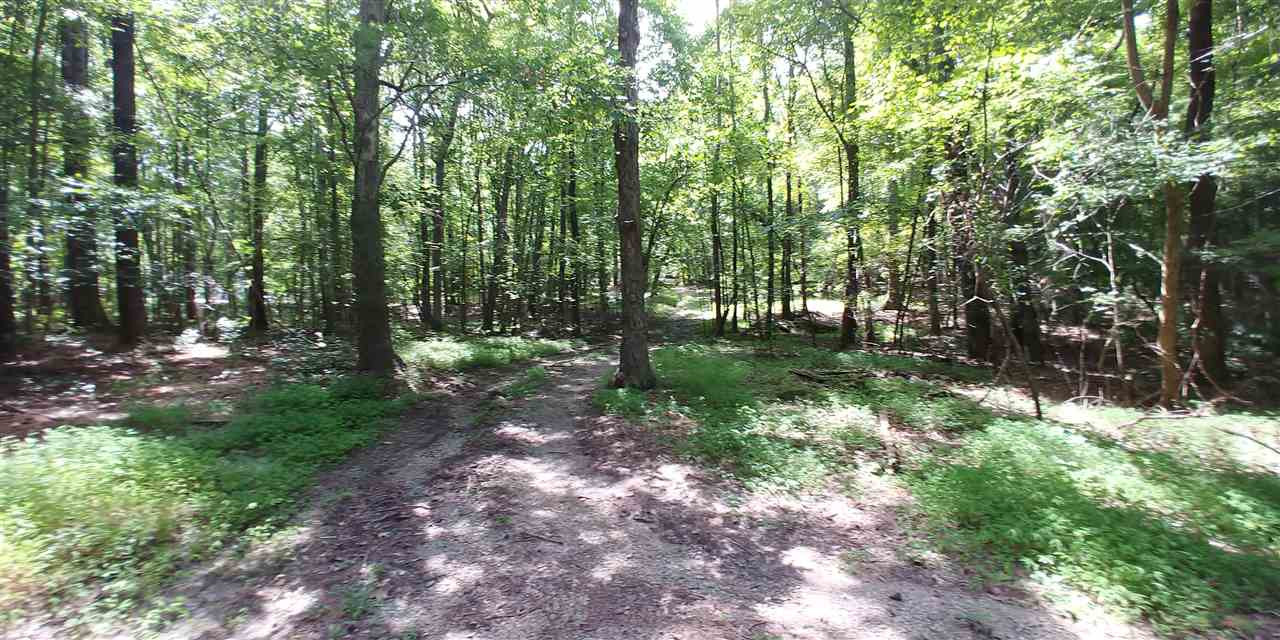 10017 Sycamore Road Raleigh, NC 27613 - Photo 9 of 9 Photo 9