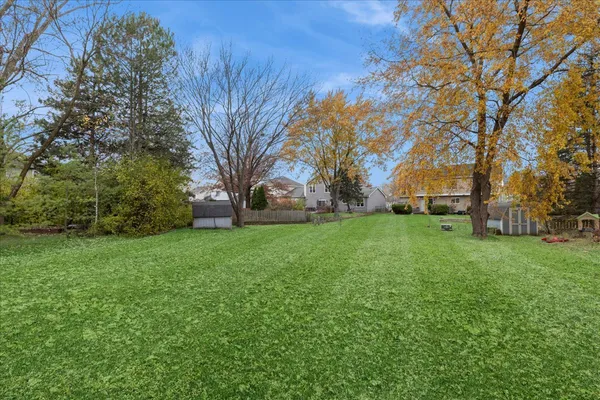 a view of a backyard with large trees