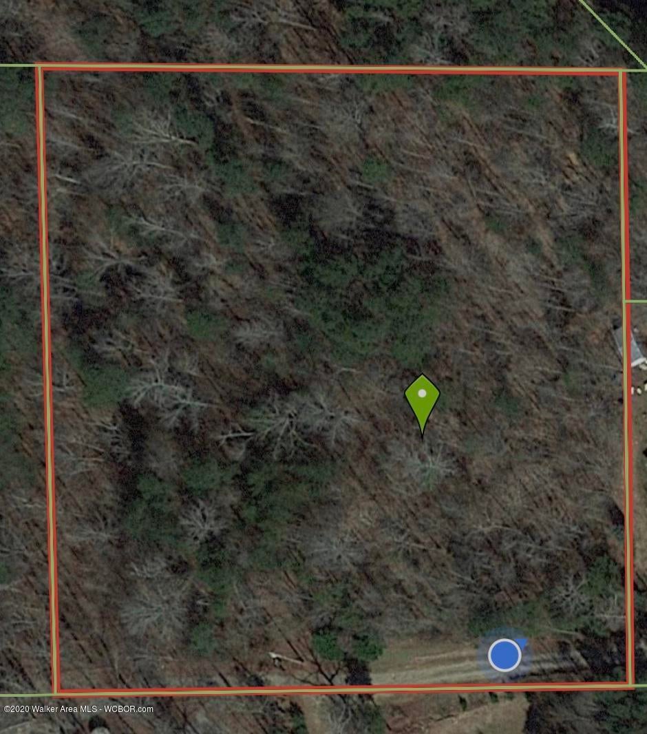 Duskin Point Road Jasper, AL 35504 - Photo 1 of 2 Gallery Image 1