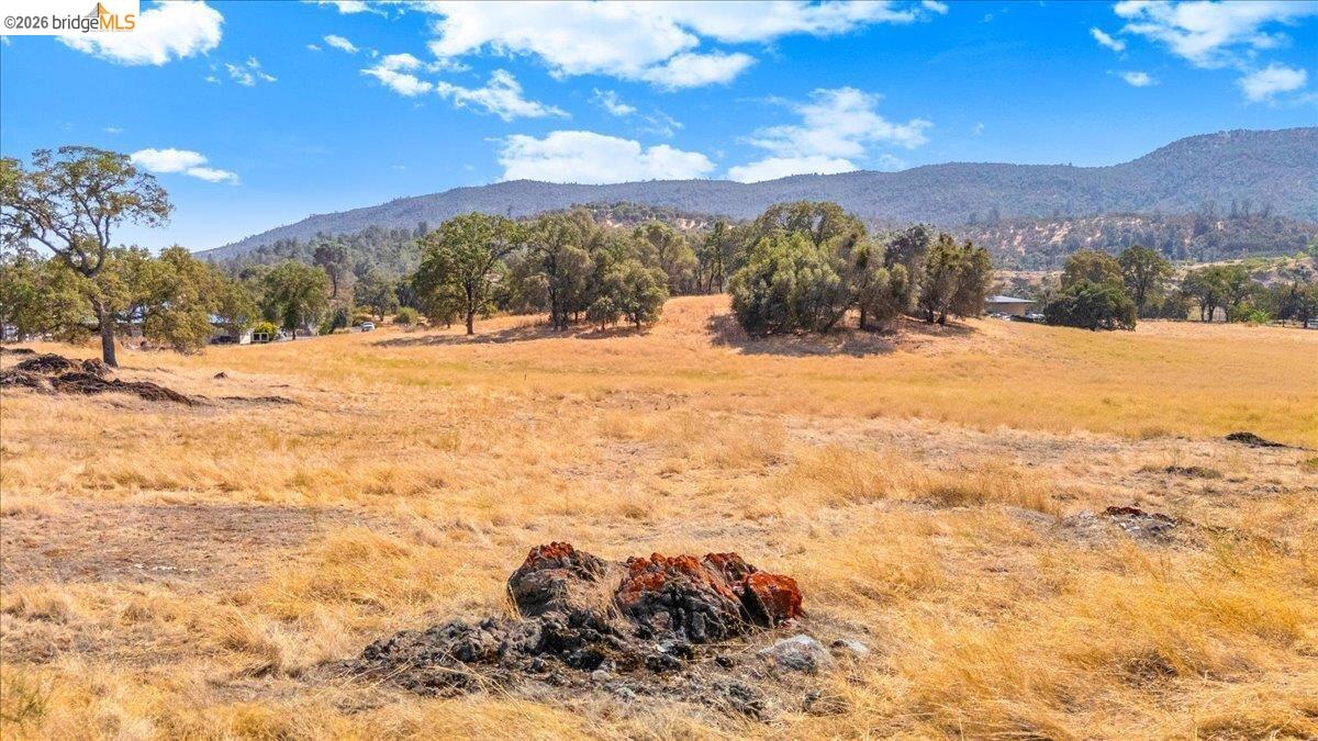 0 George Reed Drive San Andreas, CA 95249 - Photo 11 of 23 Gallery Image 11