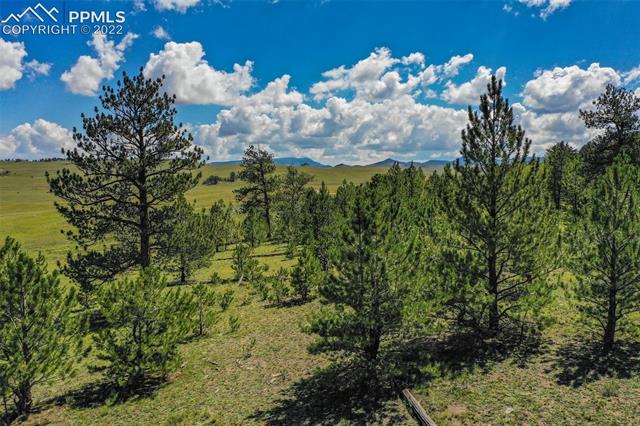 1043 Atoka Road Hartsel, CO 80449 - Photo 15 of 28 Gallery Image 15