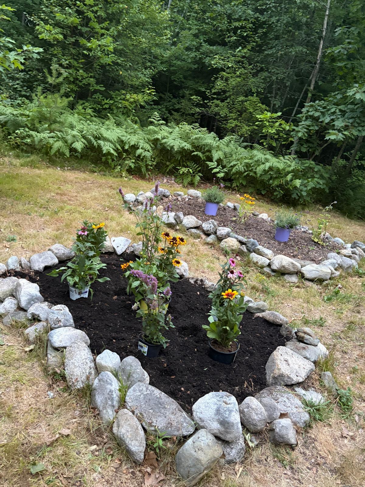 674 Friendship Road Waldoboro, ME 04572 - Photo 29 of 40 Pollinating gardens