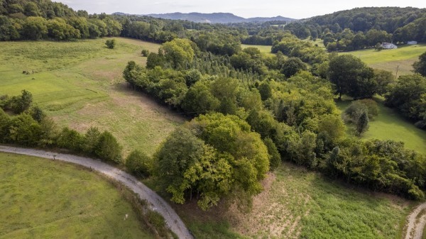 0 Badger Lane Carthage, TN 37030 - Photo 4 of 13