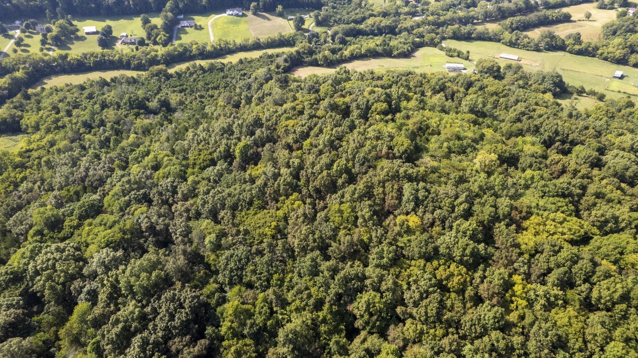 0 Badger Lane Carthage, TN 37030 - Photo 9 of 13