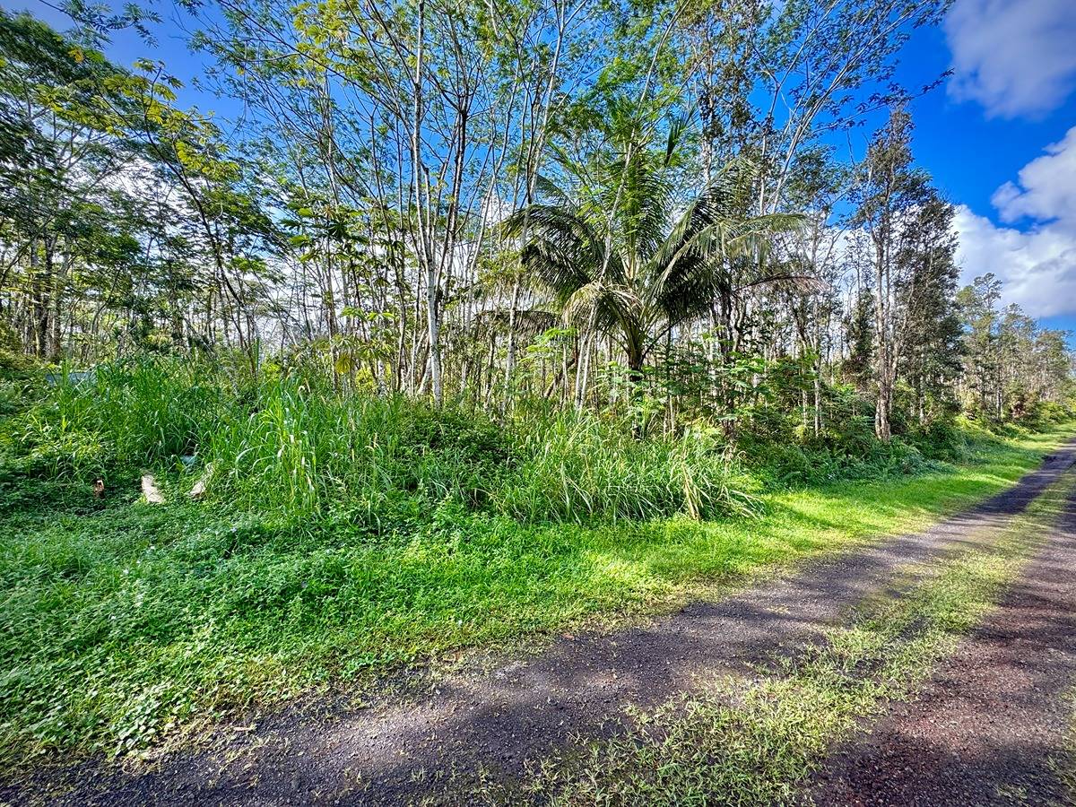 333 Molokai Road Pahoa, HI 96778 - Photo 1 of 16 Gallery Image 1
