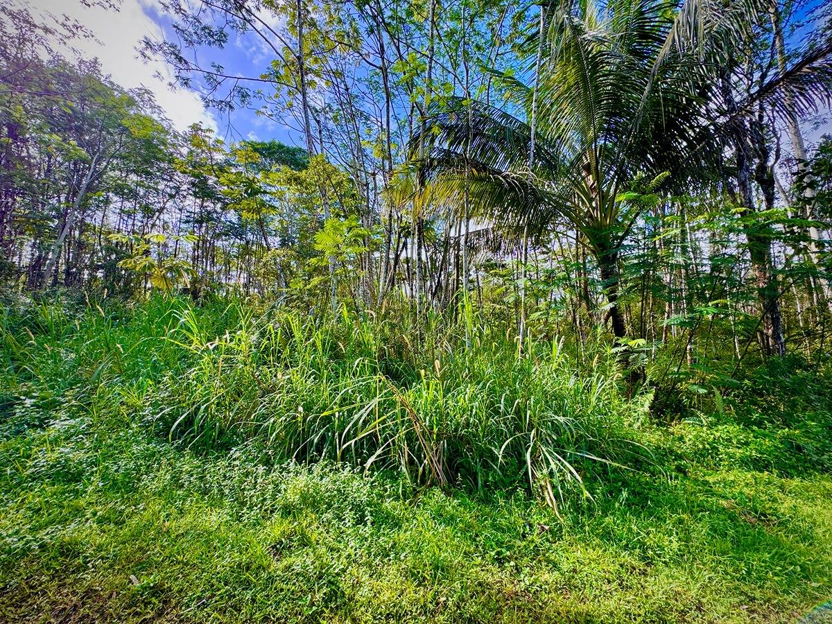 333 Molokai Road Pahoa, HI 96778 - Photo 13 of 16 Gallery Image 13