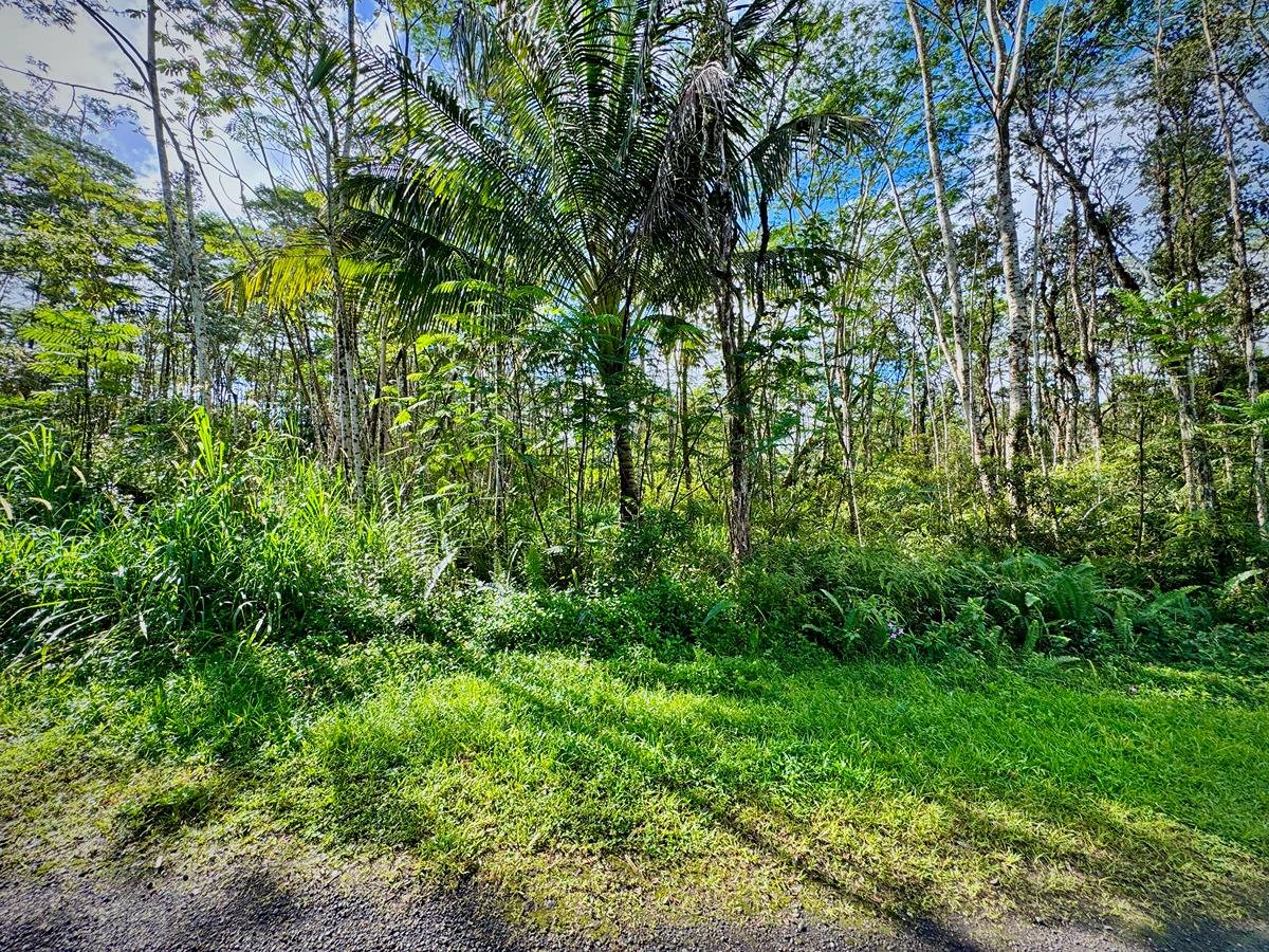 333 Molokai Road Pahoa, HI 96778 - Photo 2 of 16 Gallery Image 2