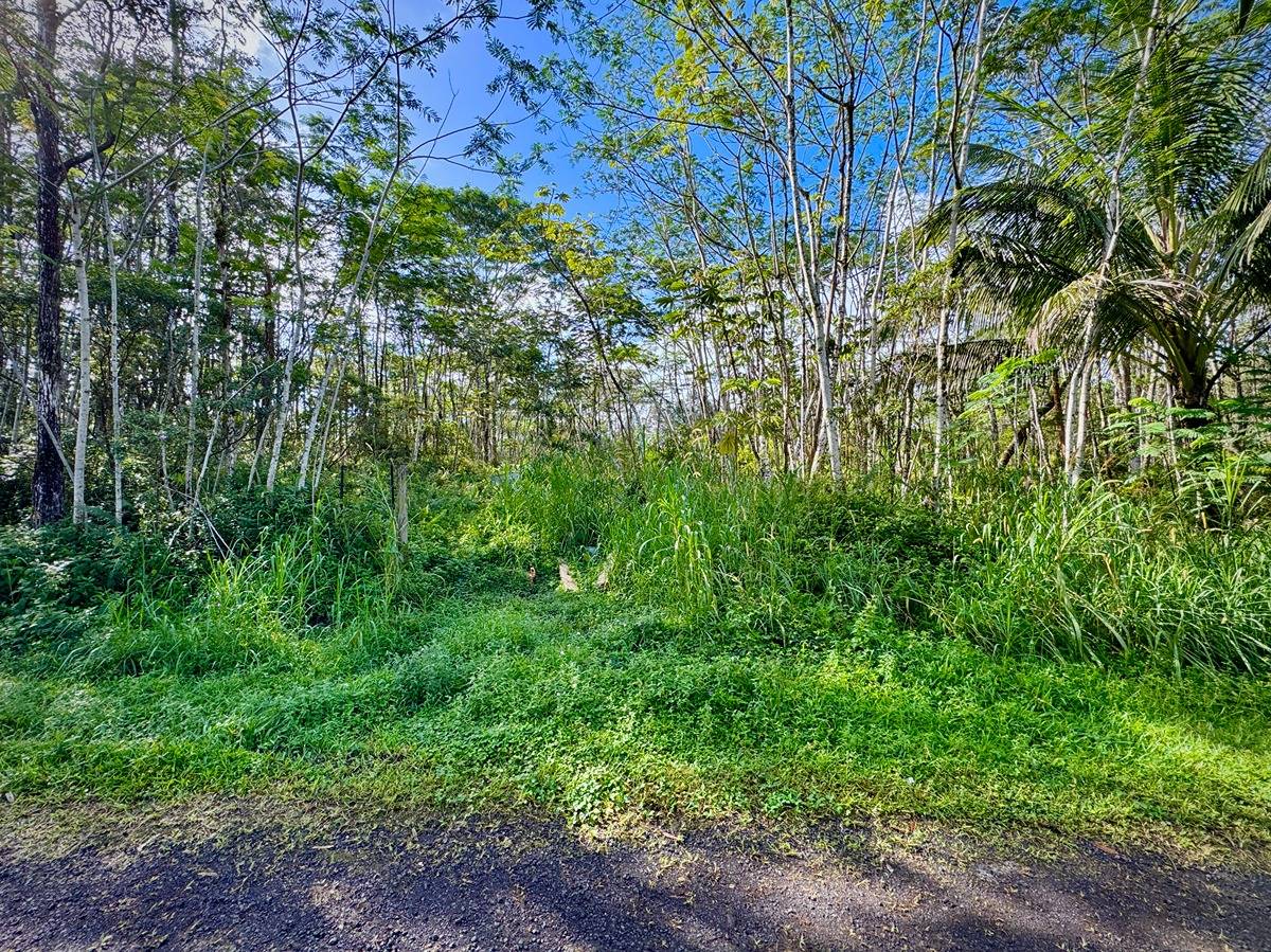 333 Molokai Road Pahoa, HI 96778 - Photo 3 of 16 Gallery Image 3