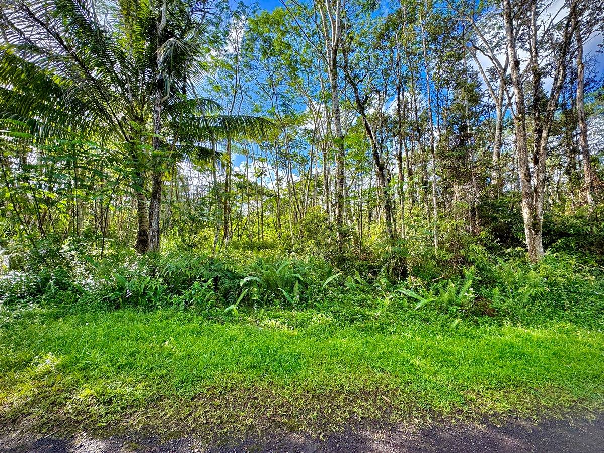 333 Molokai Road Pahoa, HI 96778 - Photo 5 of 16 Gallery Image 5