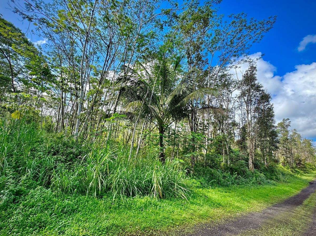333 Molokai Road Pahoa, HI 96778 - Photo 6 of 16 Gallery Image 6