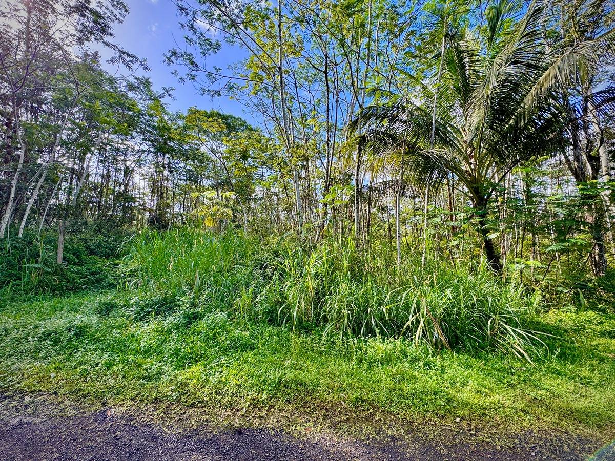 333 Molokai Road Pahoa, HI 96778 - Photo 7 of 16 Gallery Image 7