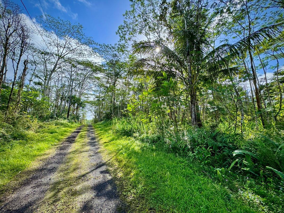 333 Molokai Road Pahoa, HI 96778 - Photo 9 of 16 Gallery Image 9
