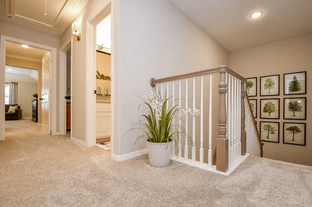 a view of a hallway with paintings on the wall