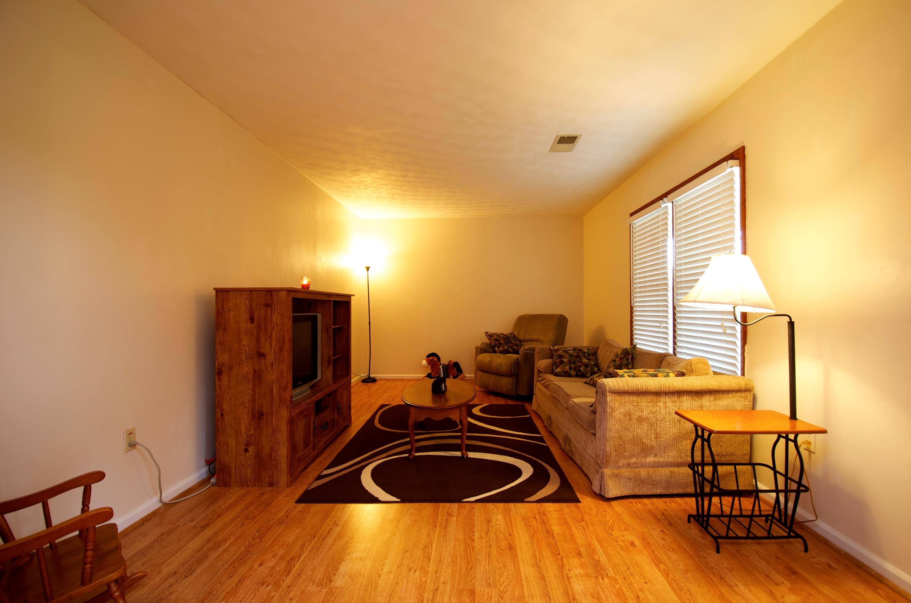 2887 Lithia Road Buchanan, VA 24066 - Photo 3 of 46 Living Room