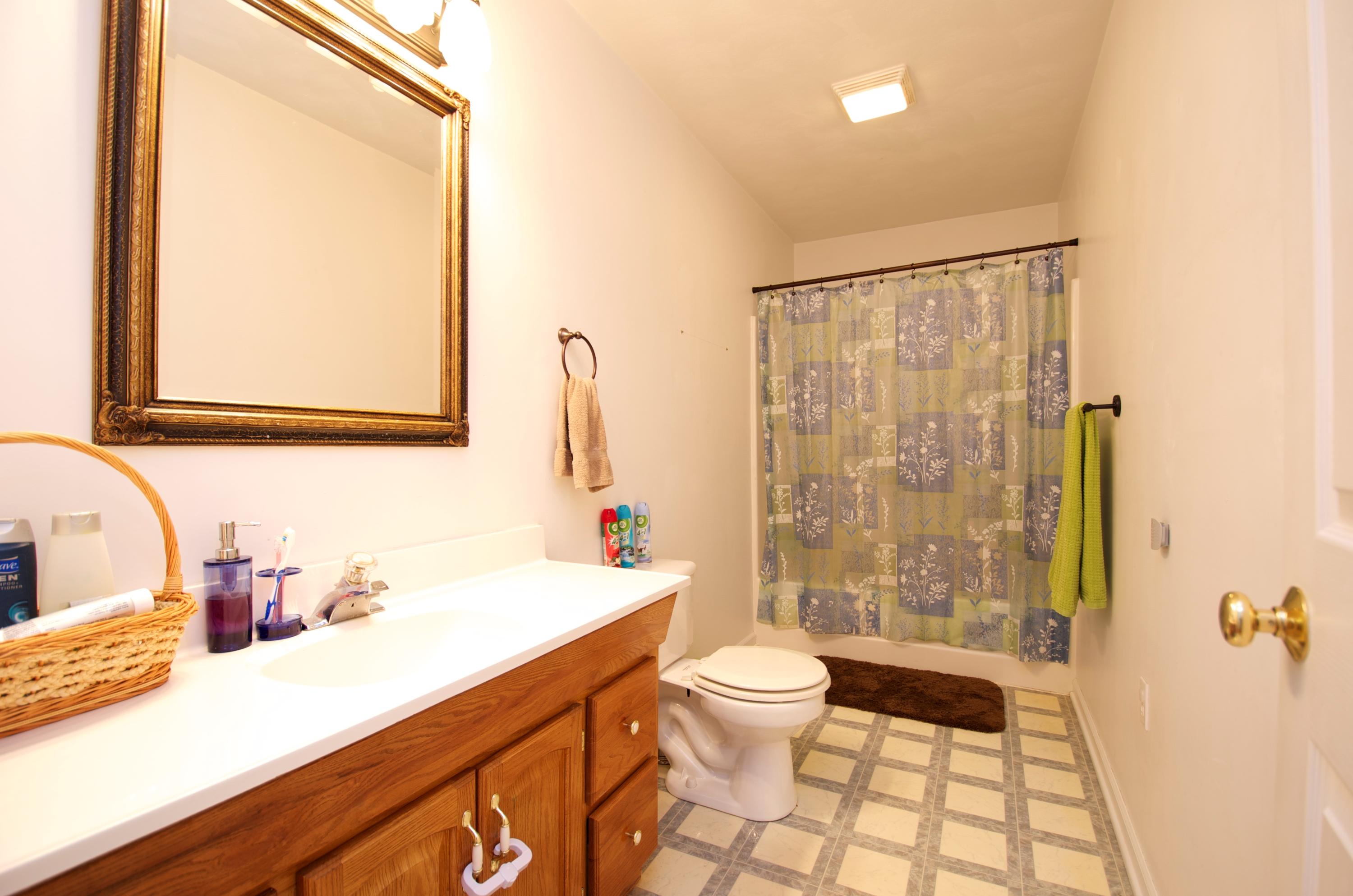 2887 Lithia Road Buchanan, VA 24066 - Photo 29 of 46 Hall Bath