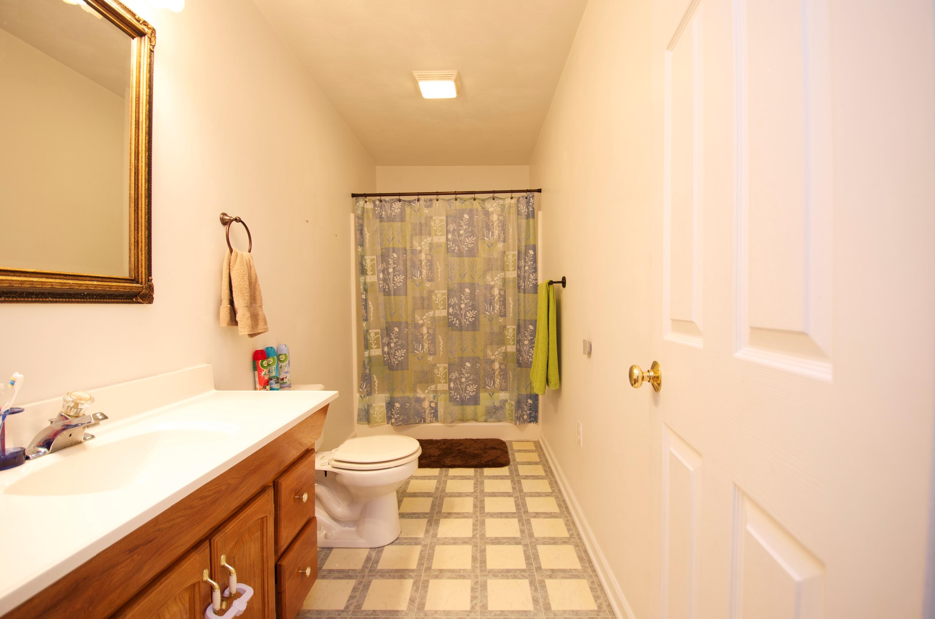2887 Lithia Road Buchanan, VA 24066 - Photo 30 of 46 Hall Bath