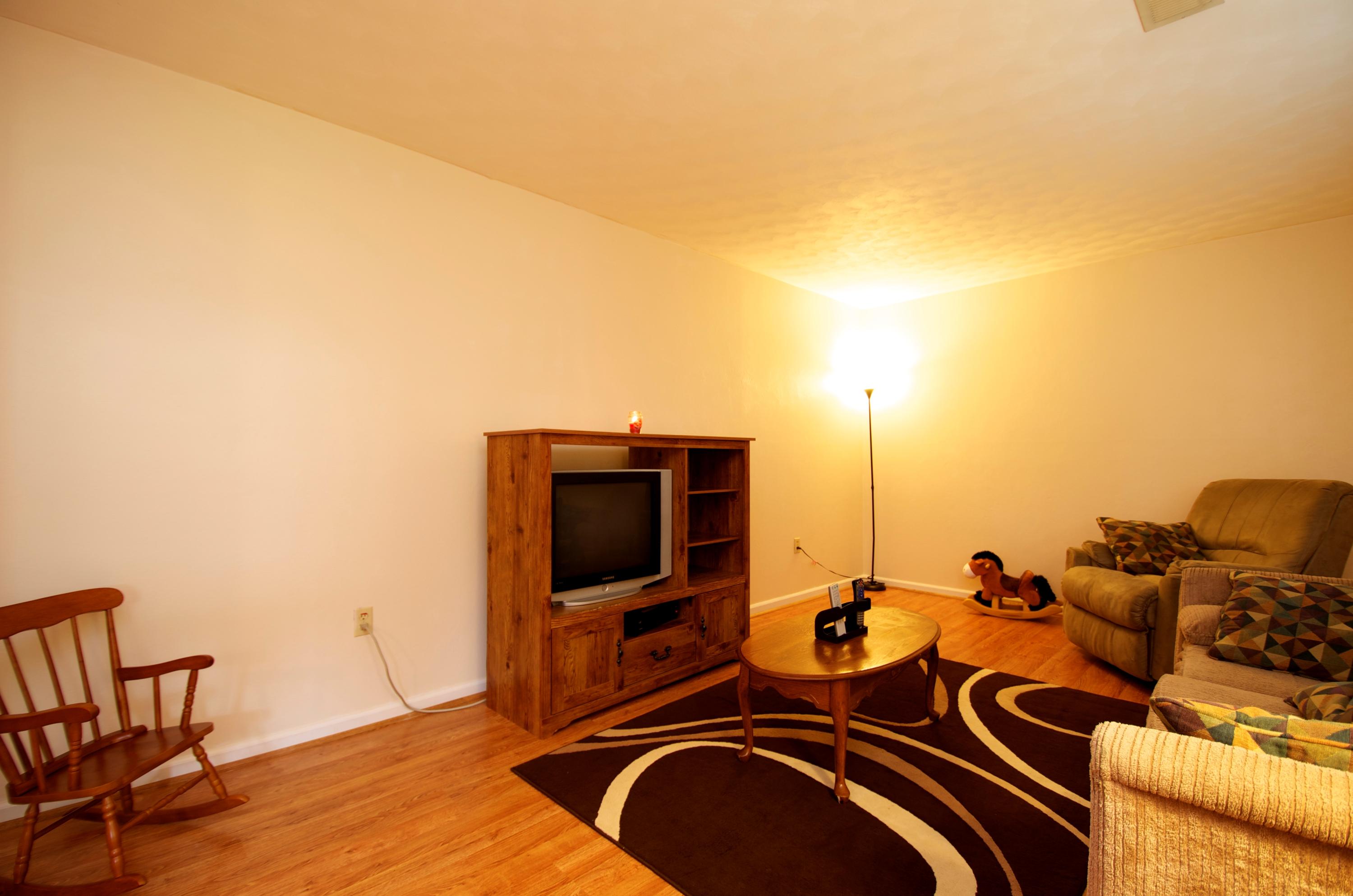 2887 Lithia Road Buchanan, VA 24066 - Photo 4 of 46 Living Room