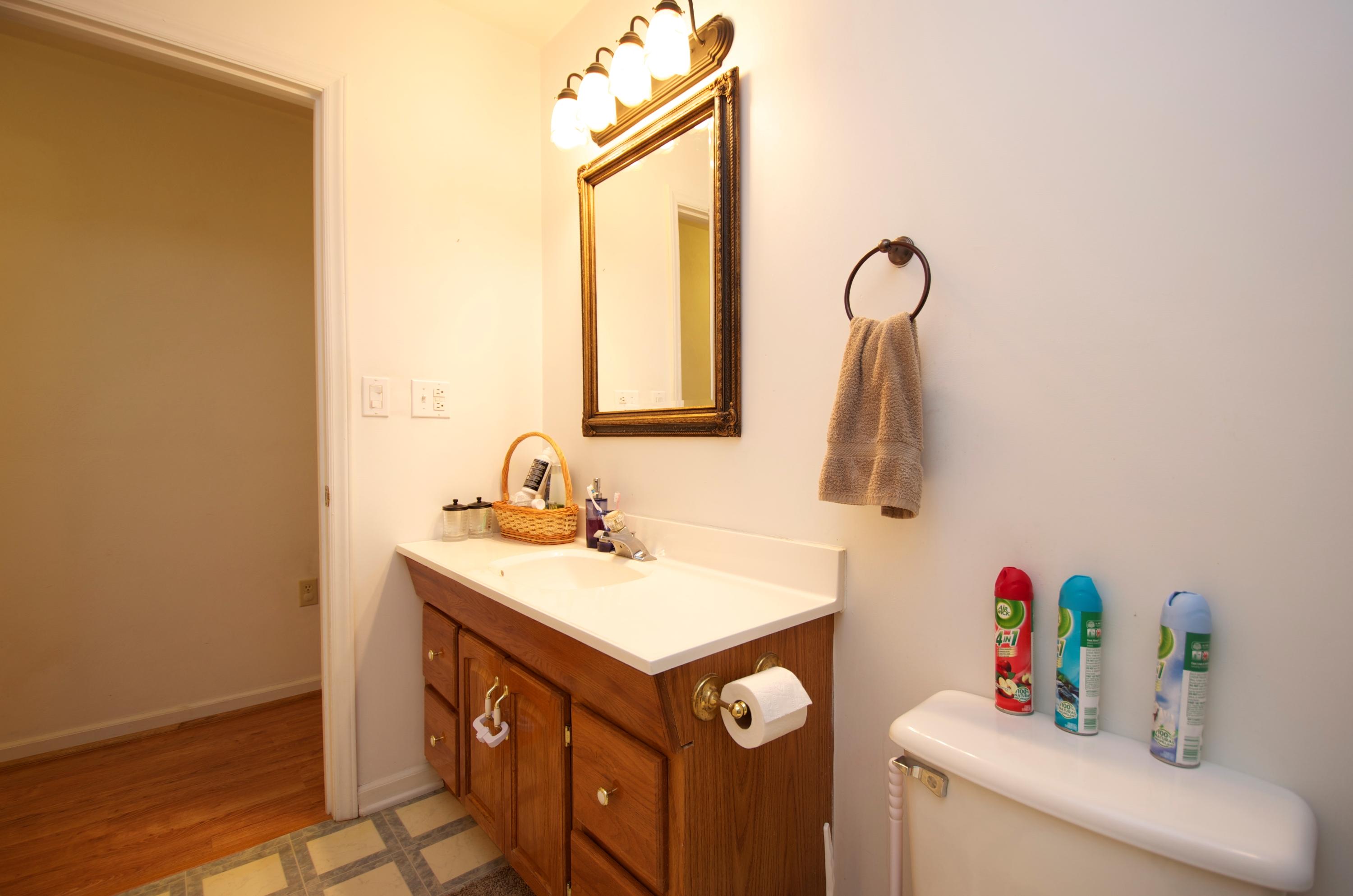 2887 Lithia Road Buchanan, VA 24066 - Photo 31 of 46 Hall Bath