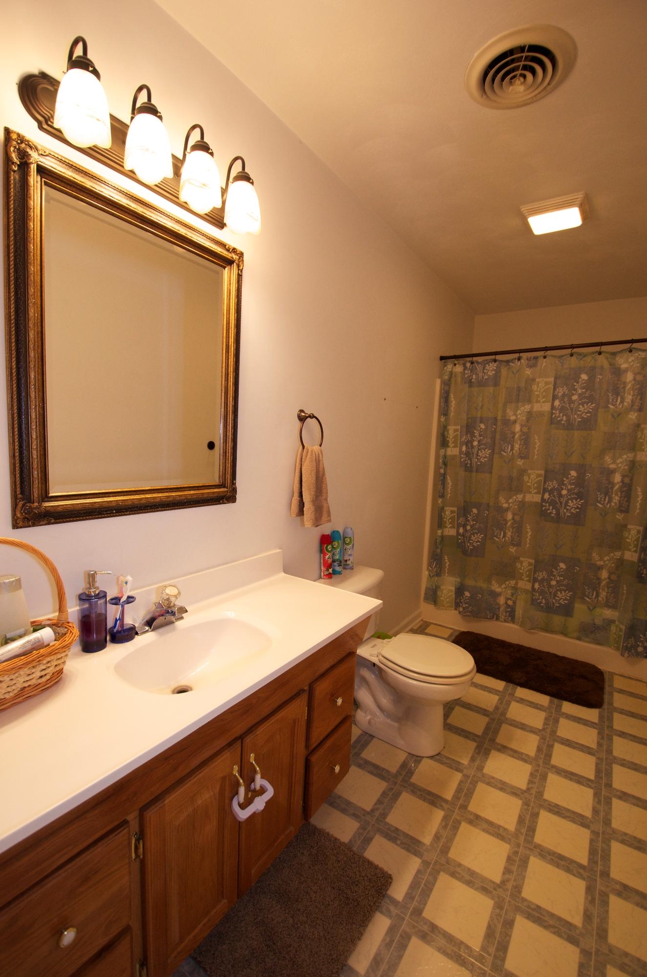 2887 Lithia Road Buchanan, VA 24066 - Photo 32 of 46 Hall Bath