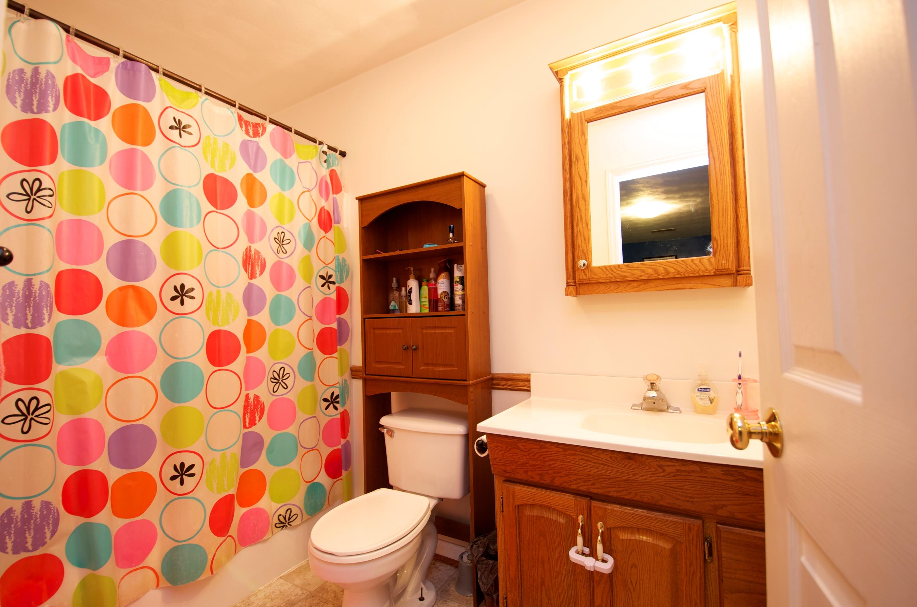 2887 Lithia Road Buchanan, VA 24066 - Photo 37 of 46 Master Bathroom
