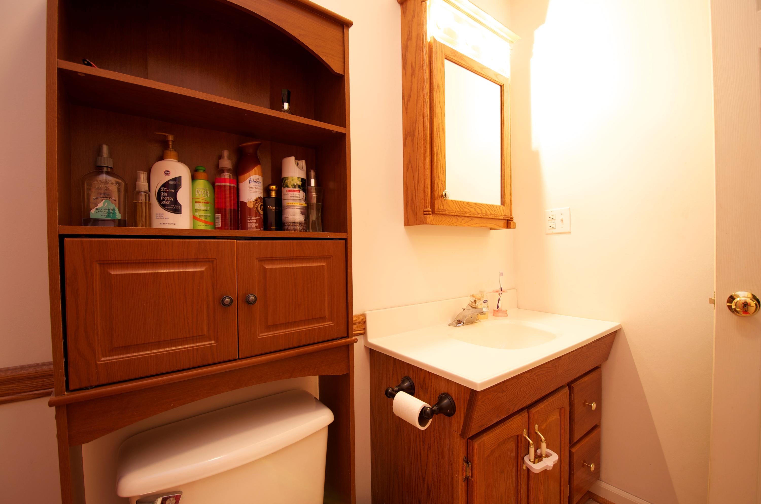 2887 Lithia Road Buchanan, VA 24066 - Photo 38 of 46 Master Bathroom