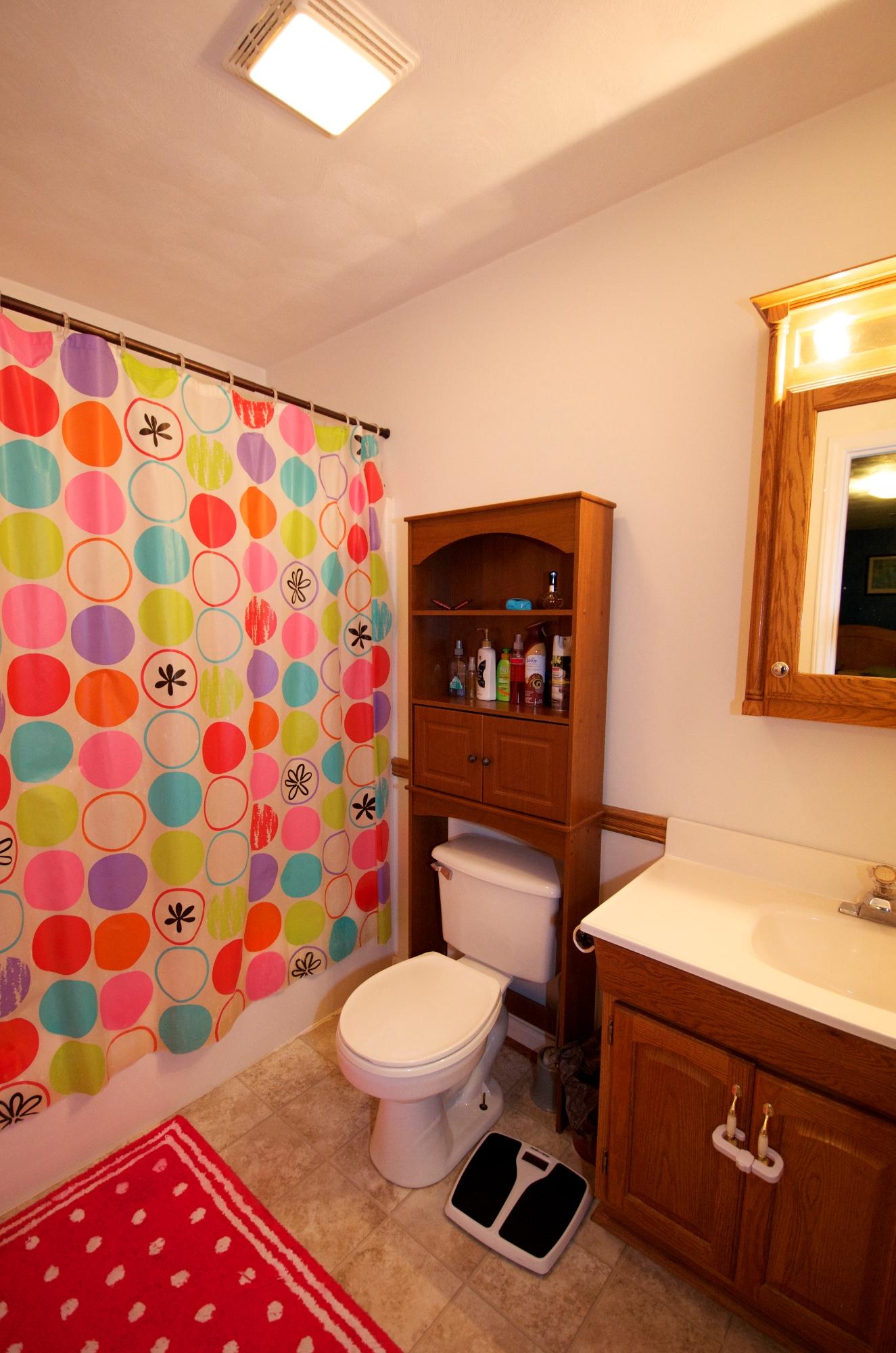 2887 Lithia Road Buchanan, VA 24066 - Photo 39 of 46 Master Bathroom