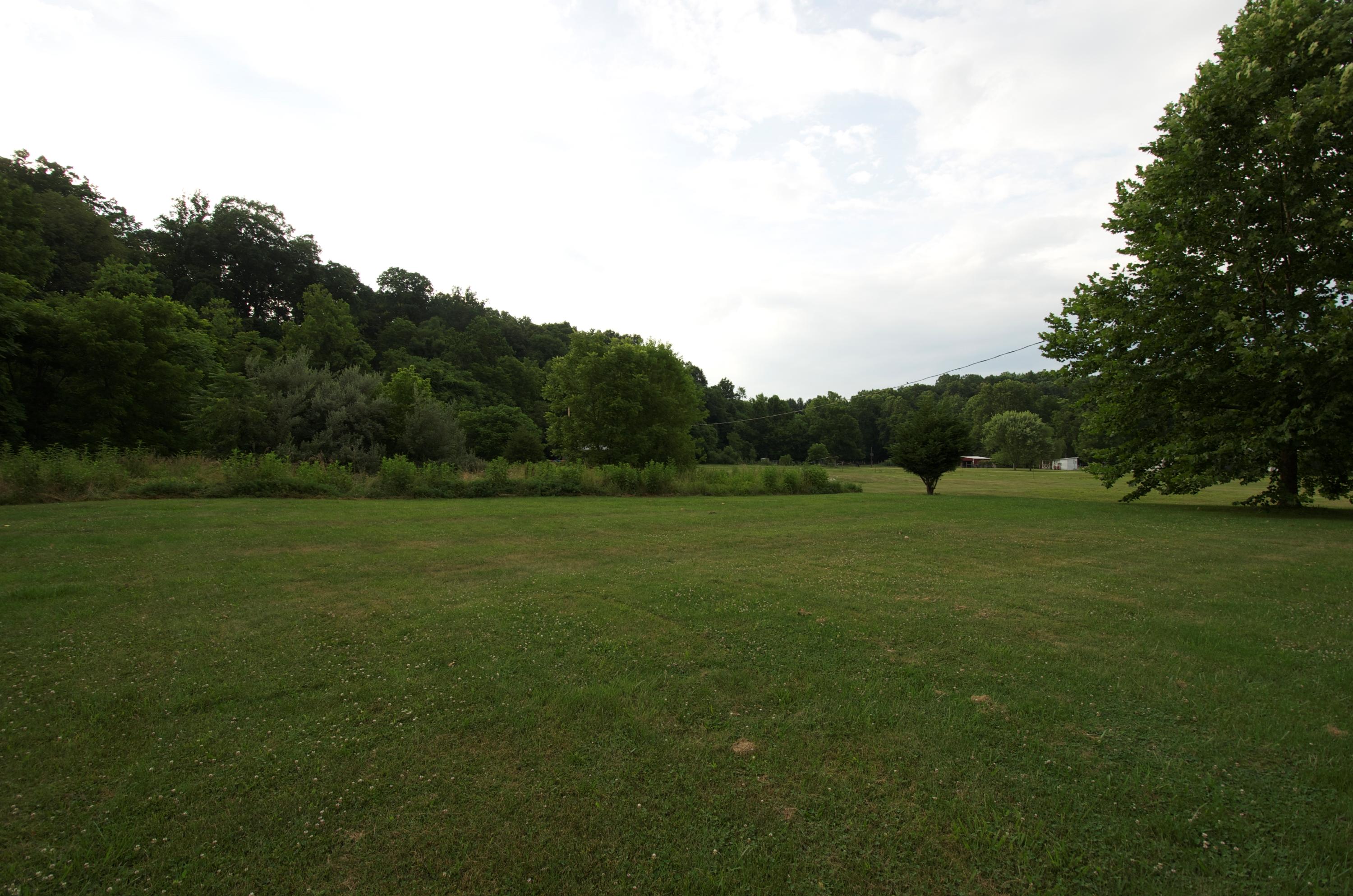 2887 Lithia Road Buchanan, VA 24066 - Photo 44 of 46 Backyard
