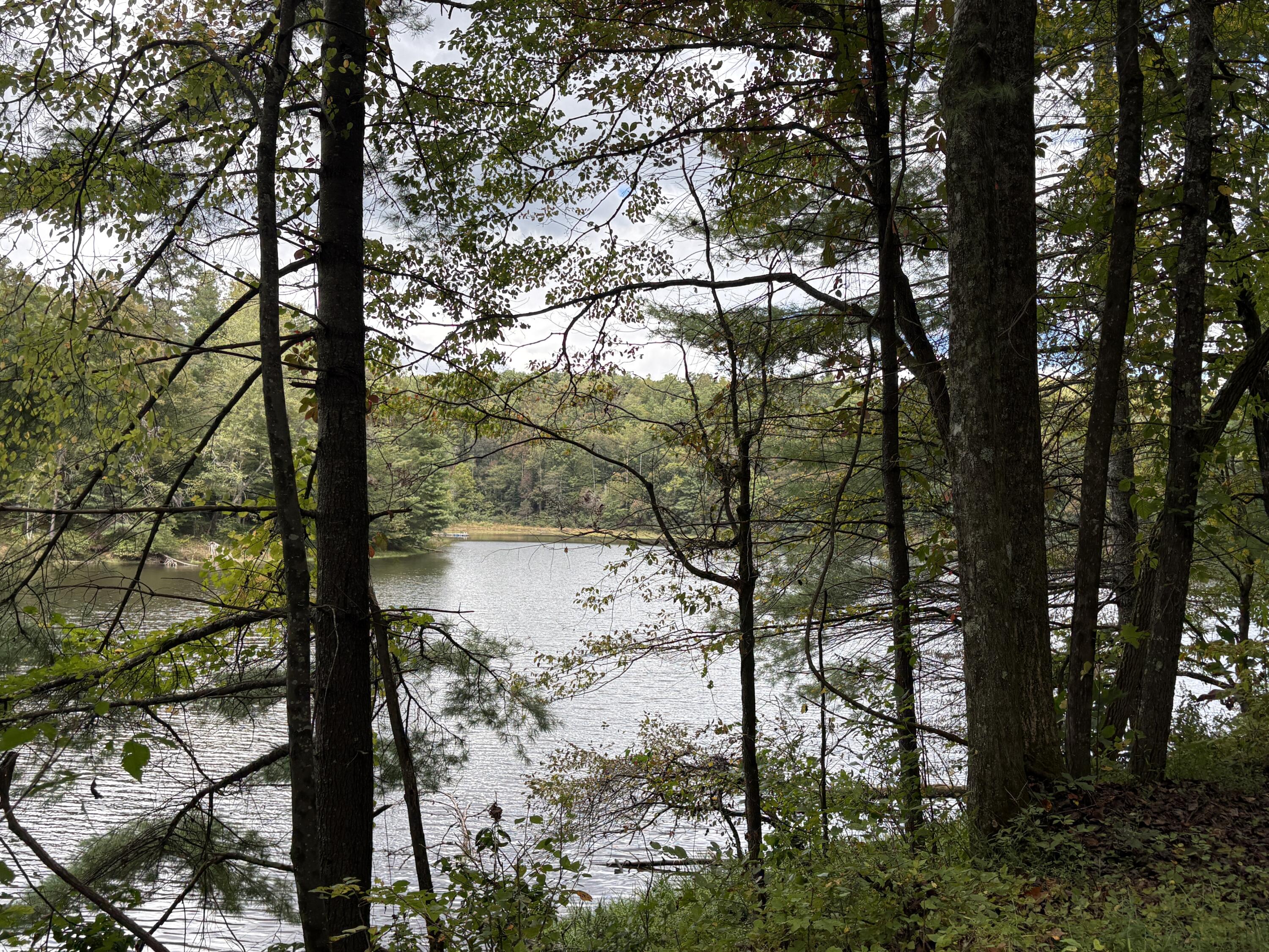 0 Lot 51 Sleepy Hollow Road Grandview, TN 37337 - Photo 3 of 6 IMG_6483