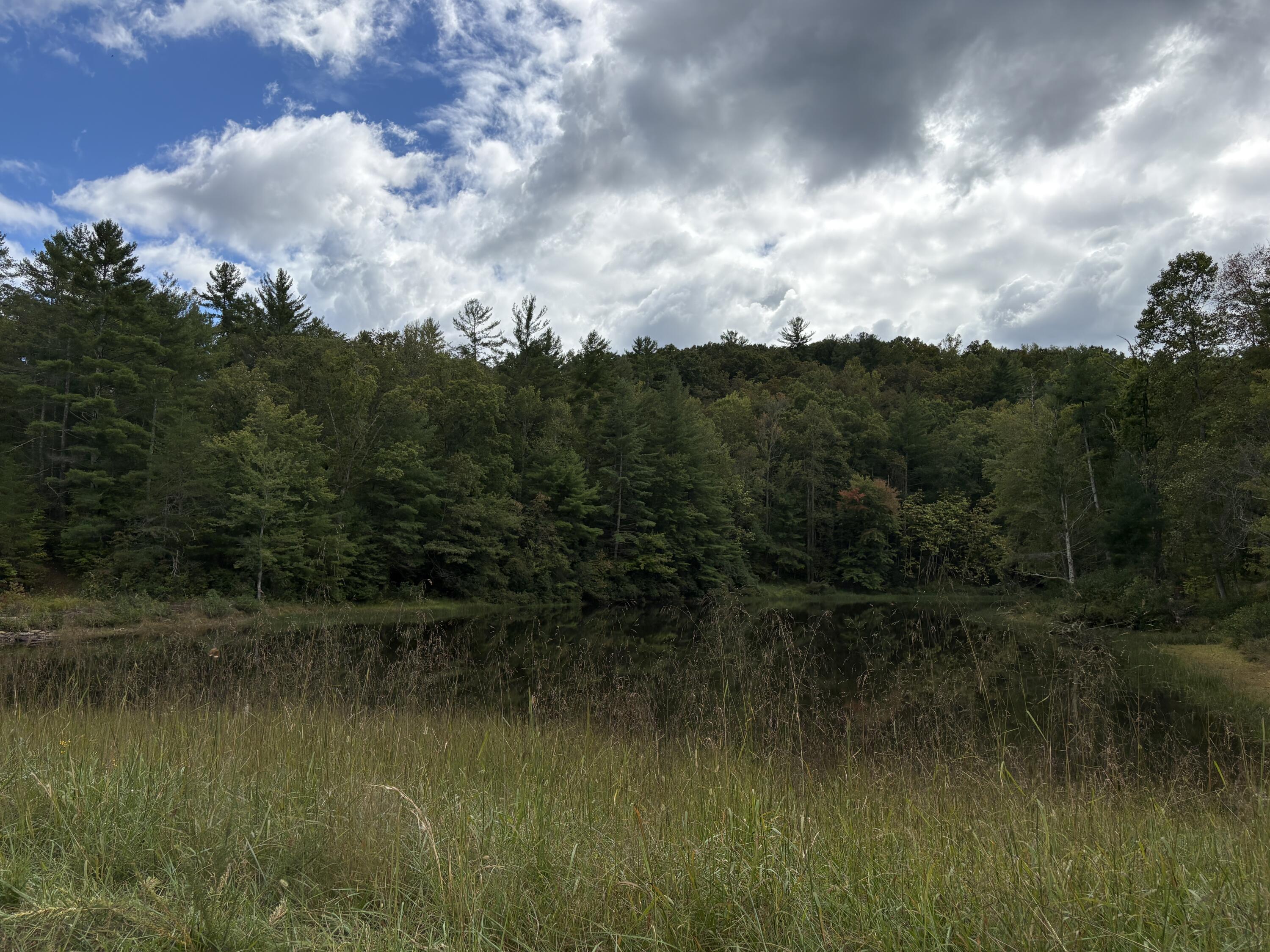 0 Lot 51 Sleepy Hollow Road Grandview, TN 37337 - Photo 4 of 6 IMG_6491