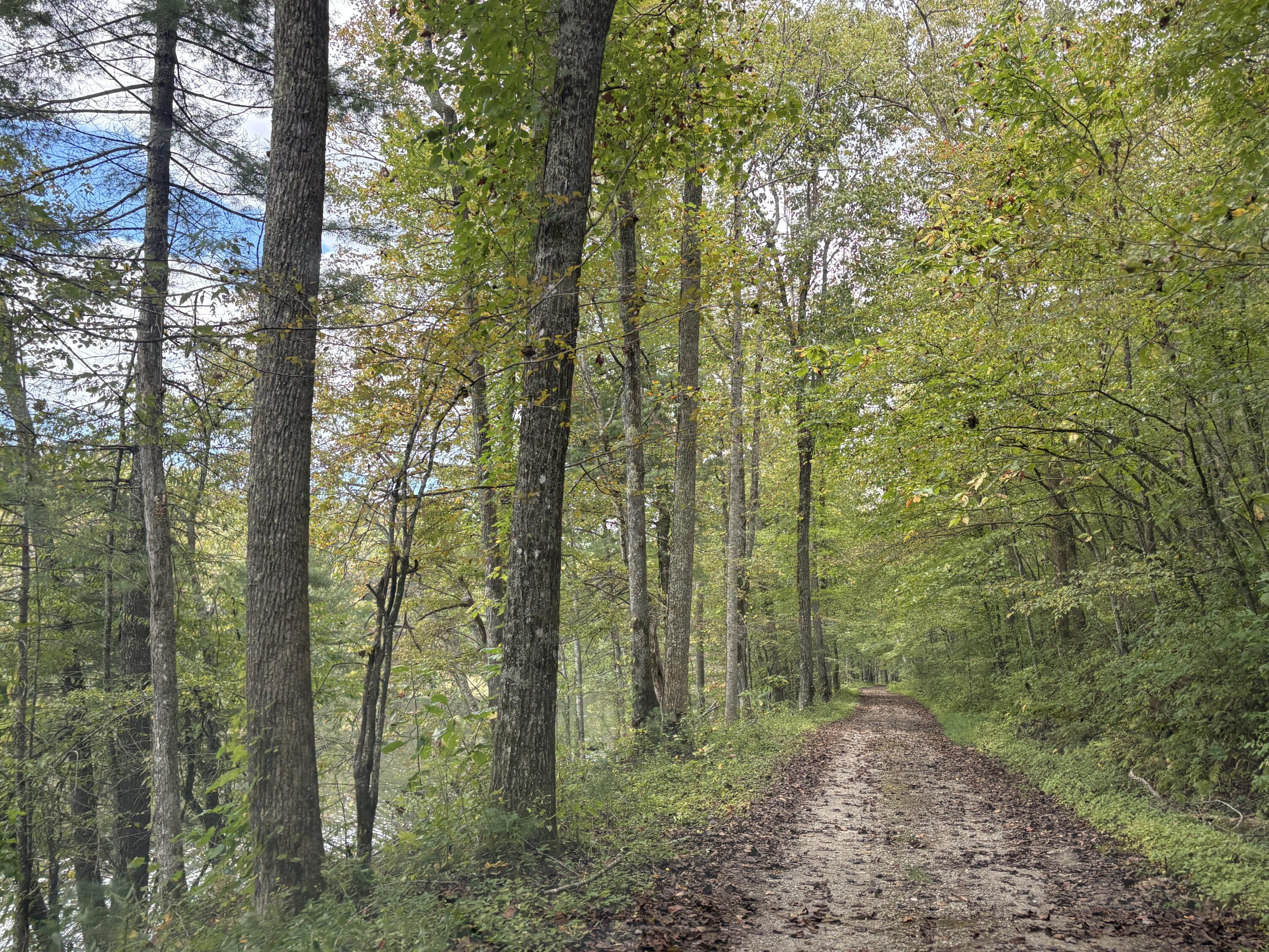 0 Lot 51 Sleepy Hollow Road Grandview, TN 37337 - Photo 5 of 6 IMG_6486