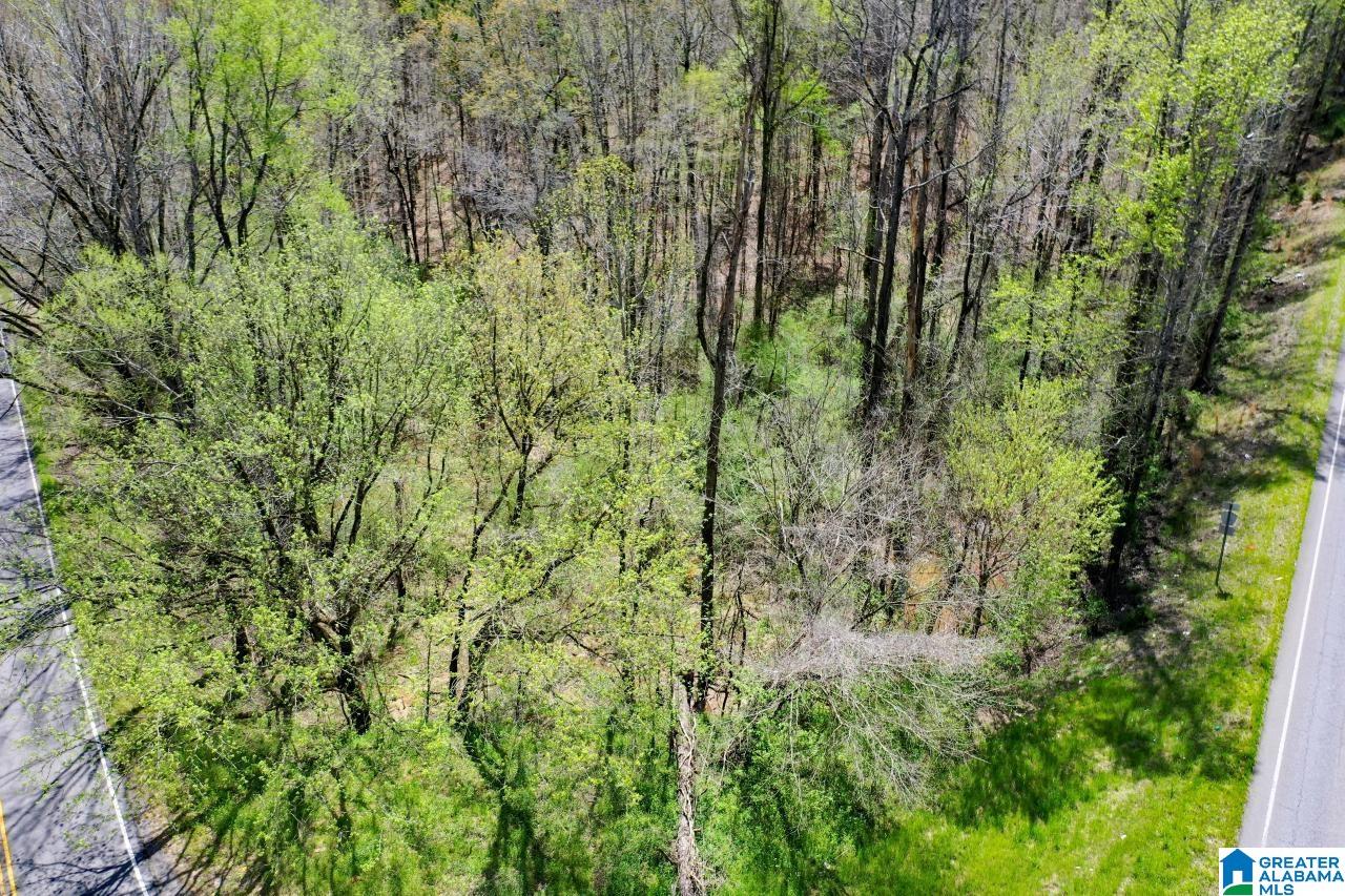 0 County Road 15 Locust Fork, AL 35097 - Photo 6 of 14