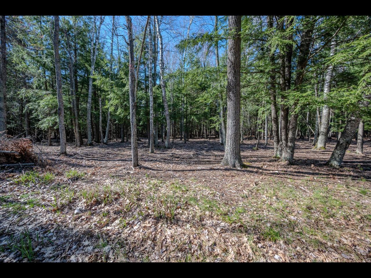 Lot 19 Memory Lane Eagle River, WI 54521 - Photo 7 of 10