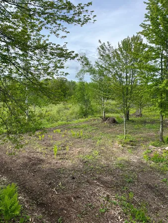 $159,900 | 2155 East Kingsdale Road, Danbury, WI 54830