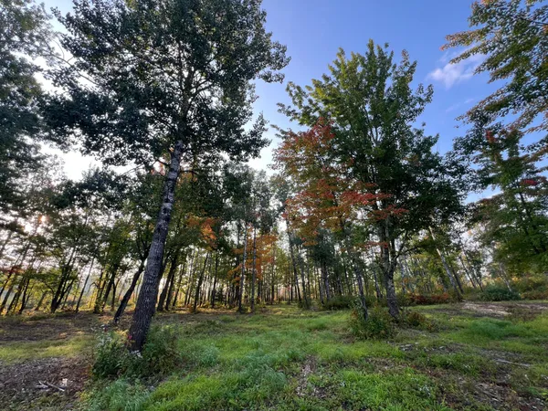 $159,900 | 2155 East Kingsdale Road, Danbury, WI 54830