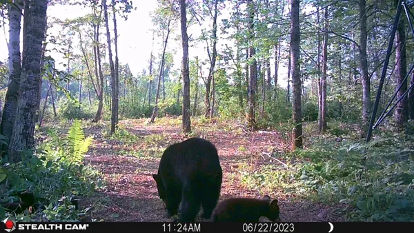 $159,900 | 2155 East Kingsdale Road, Danbury, WI 54830