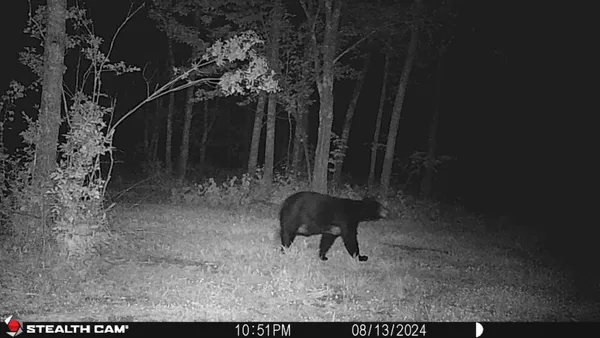 $159,900 | 2155 East Kingsdale Road, Danbury, WI 54830