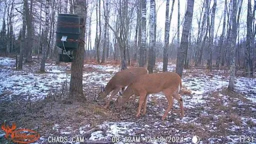 $159,900 | 2155 East Kingsdale Road, Danbury, WI 54830