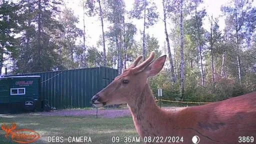 $159,900 | 2155 East Kingsdale Road, Danbury, WI 54830