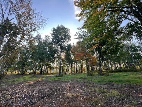 $159,900 | 2155 East Kingsdale Road, Danbury, WI 54830